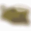 Best Online Earning App In Paksitan - Royal x Casino